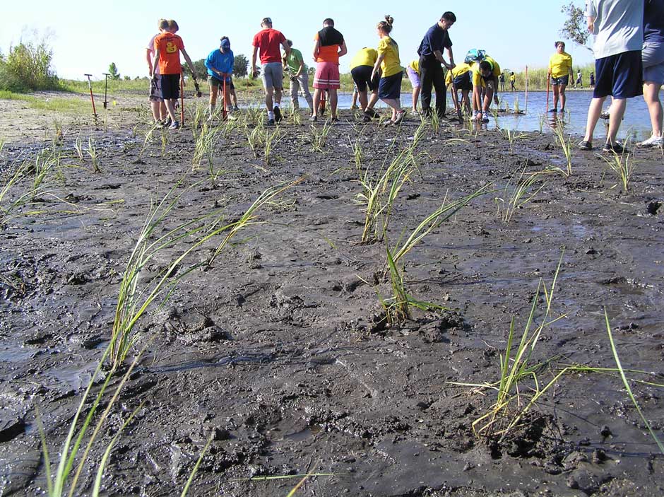 Ecosystem restoration